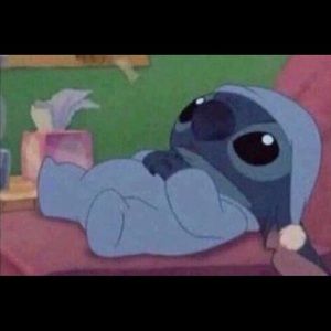 Meet your Posher, Dani